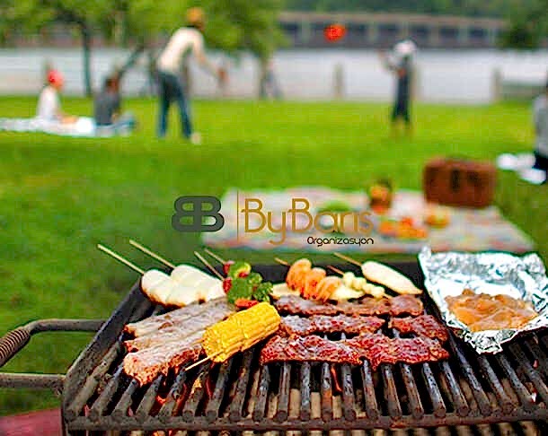 Piknik Organizasyonu