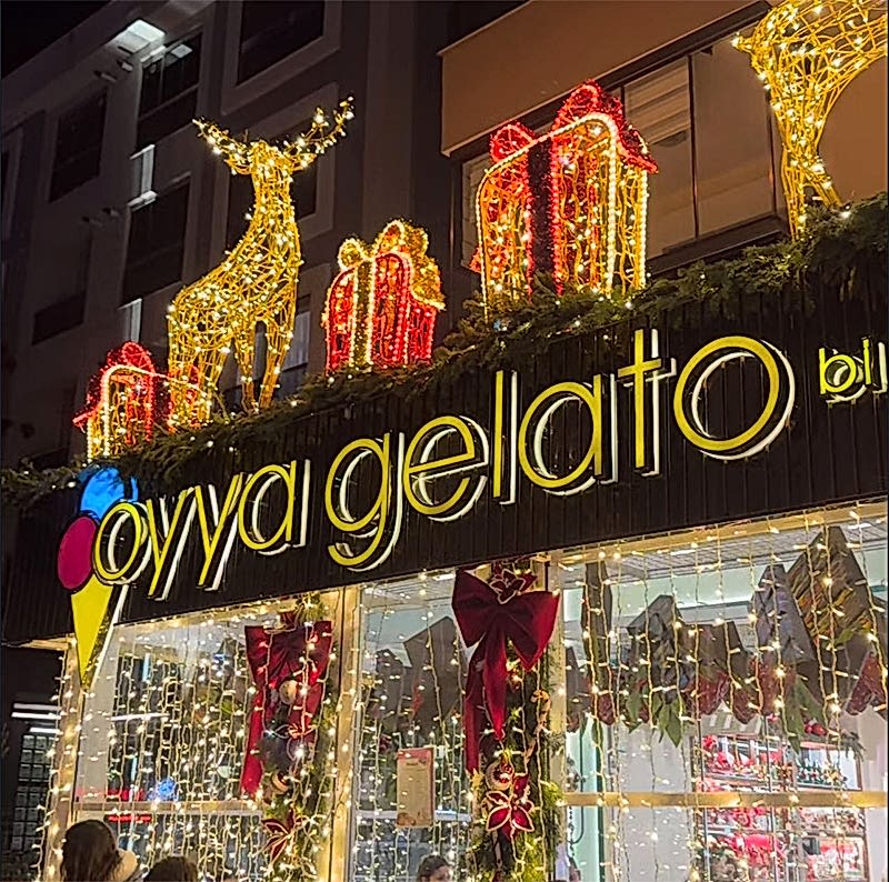 Yılbaşı Organizasyonu