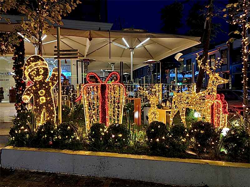 Yılbaşı Partisi Organizasyonu